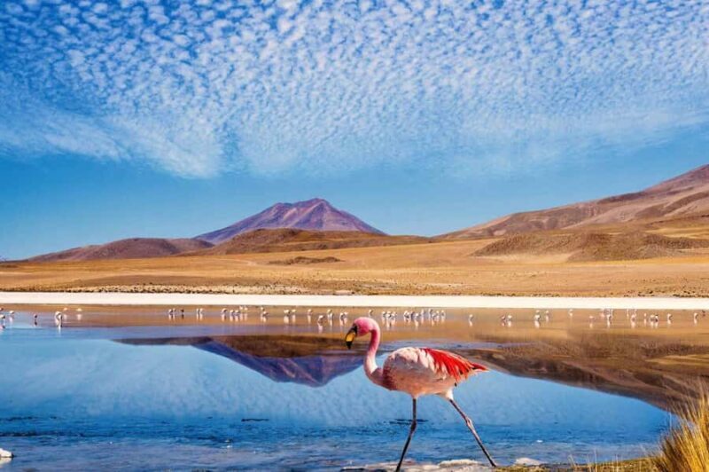San Pedro to Salar Route - Atacama - Who Will Love This Tour?