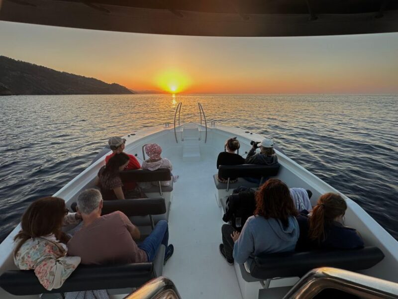 San Sebastian: 2 Bays Evening or Sunset Boat Tour with Cava - Authentic Review Highlights