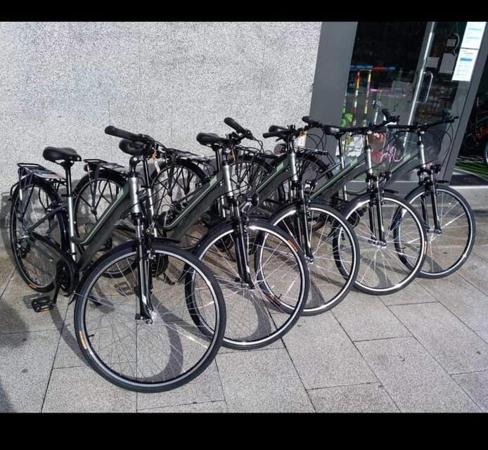 San Sebastian: Bike tour with FREE snack & drink! - An Authentic Way to Explore San Sebastián