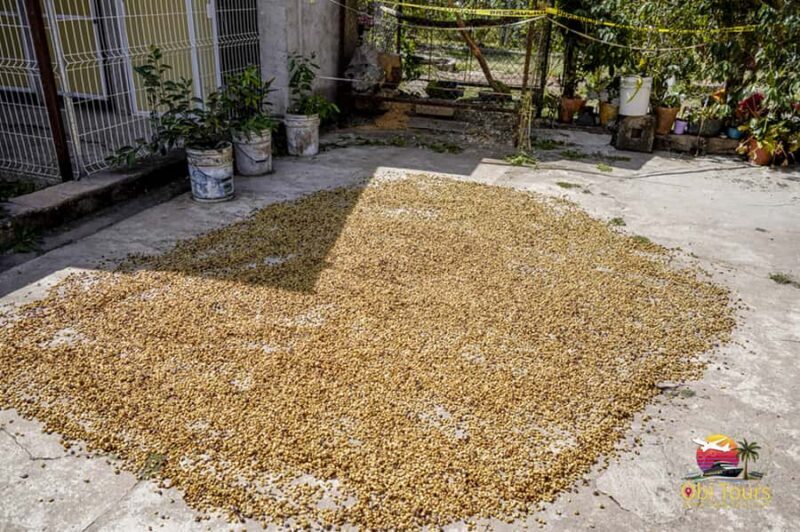 San Sebastian Del Oeste: Private Trip from Puerto Vallarta - Experience the Charm of San Sebastian del Oeste on a Private Day Trip from Puerto Vallarta