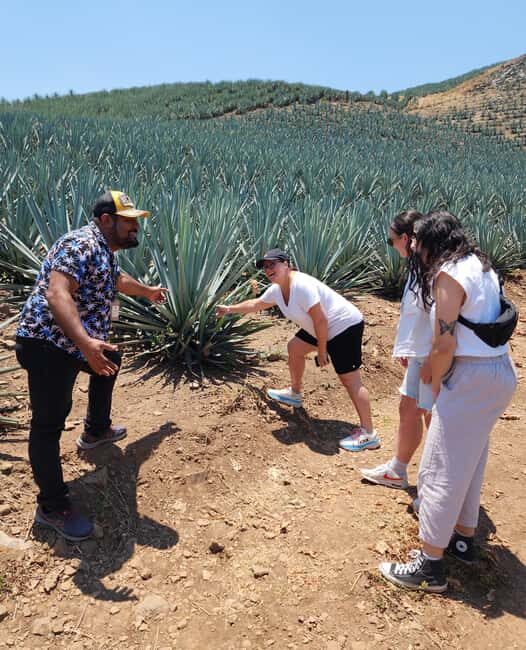 San Sebastian del Oeste: Tequila Tasting and Coffee Tour - Final Thoughts: Is This Tour Worth It?