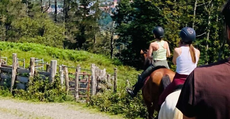 San Sebastian: Horseback Riding & Traditional Delights - San Sebastian: Horseback Riding & Traditional Delights — A Detailed Review