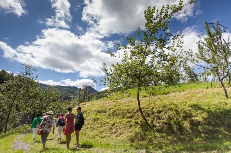 San Sebastián: Traditional Cider House Tour with Lunch - San Sebastián: Traditional Cider House Tour with Lunch — A Deep Dive