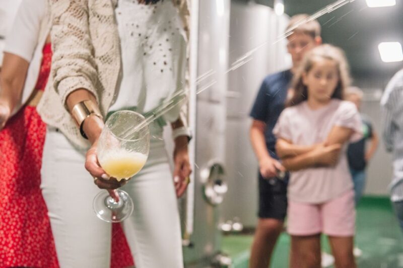 San Sebastián: Traditional Cider House Tour with Lunch - Practical Details: Logistics, Group Size, and Value