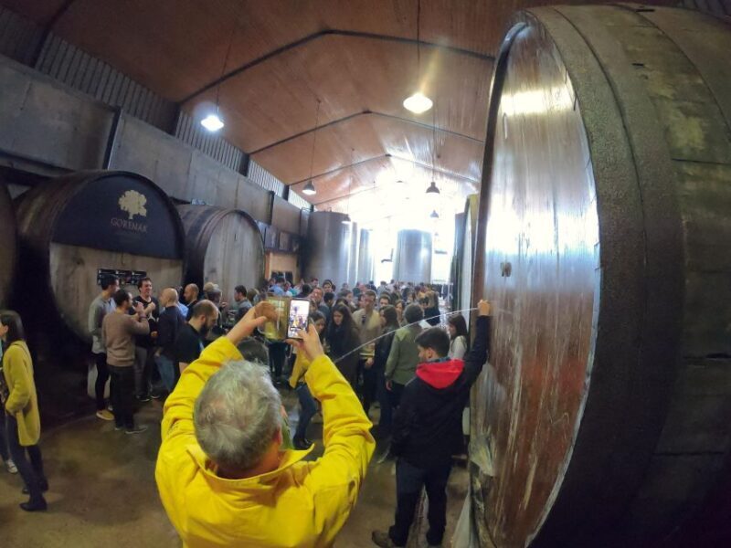 San Sebastián: Unique and Fun Basque Cider Culture Tour - Key Points