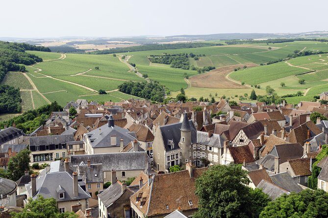 Sancerre & Pouilly-Fumé Wine Tour with Local Goats' Cheese and the River Loire - Discovering the Loire: A Deep Dive into the Tour Experience