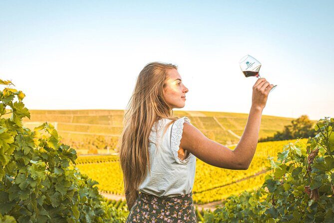 Sancerre Private Wine Tour with 10 Tastings and Lunch from Paris - Key Points