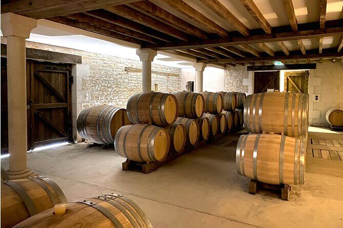Sancerre Private Wine Tour with 10 Tastings and Lunch from Paris - In-Depth Look at the Tour Experience