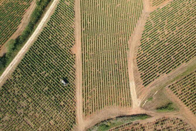Sancerre Private Wine Tour with 10 Tastings and Lunch from Paris - Practical Tips