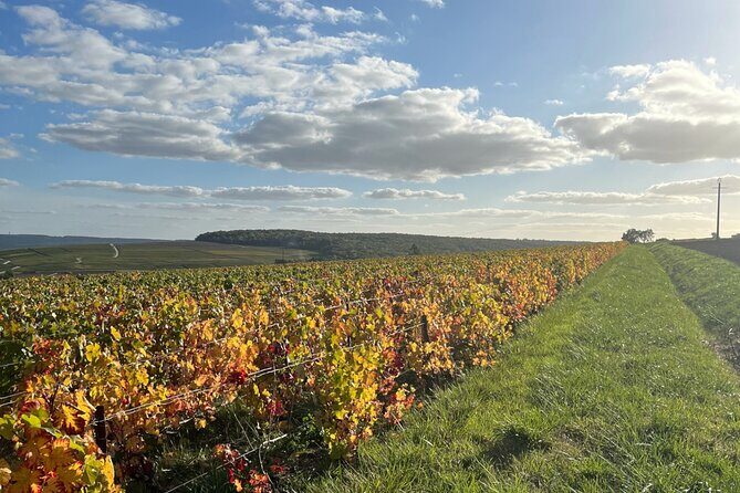 Sancerre Private Wine Tour with 10 Tastings and Lunch from Paris - Frequently Asked Questions