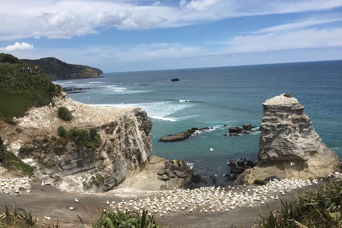 Sanctuary Mountain (Mt Maungatautari) & Waitomo Luxury Day tour from Auckland - The Sum Up: Is This Tour Right for You?