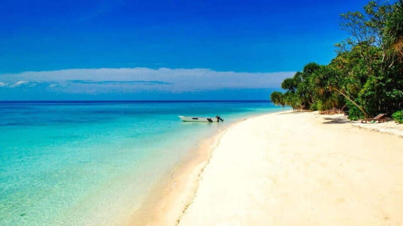 Sandakan : 2 Days 1 Night At Turtle Island - Who Should Consider This Tour?