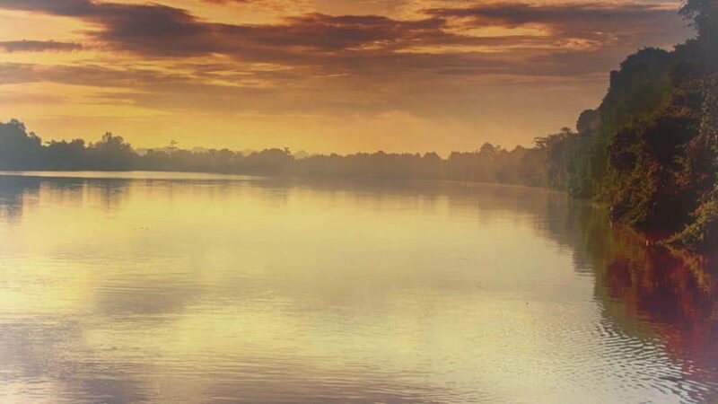 Sandakan: 2 Days 1 Night Bilit, Kinabatangan River Wildlife - Final Thoughts: Is This Tour Right for You?