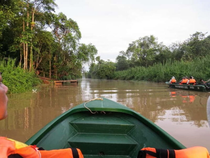 Sandakan: 3D2N The Wild Heart of Borneo River Secrets - Why This Tour Offers Great Value