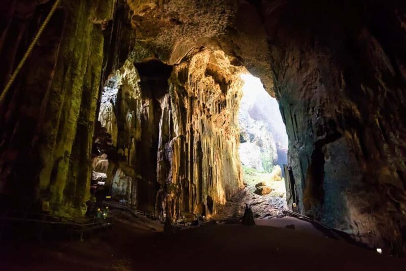 Sandakan: Gomantong Cave Echoes & Kinabatangan River Safari - Exploring the Tour in Detail