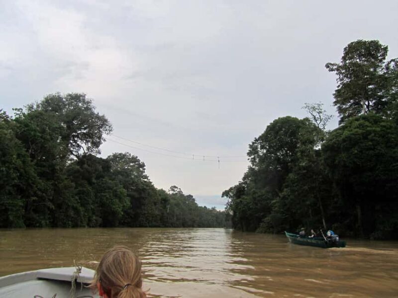 Sandakan: Gomantong Cave Echoes & Kinabatangan River Safari - How This Tour Offers Value