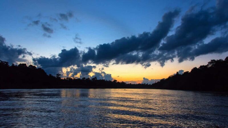 Sandakan: Gomantong Cave Echoes & Kinabatangan River Safari - Final Thoughts