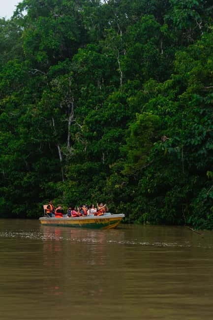 Sandakan: Kinabatangan River Wildlife Cruise with Lunch - Who Should Consider This Tour?