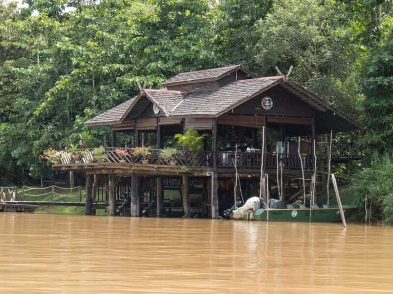 Sandakan: Sukau Rainforest Wildlife Journey & Dawn Cruises - The Sum Up