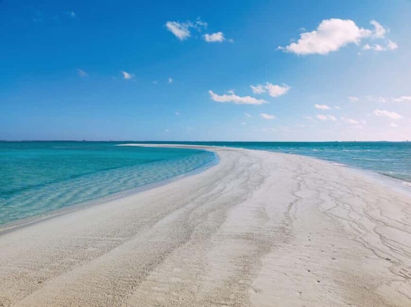 Sandbank, Boat Trip with Umbrellas and Water - Exploring the Sandbank Experience in Detail