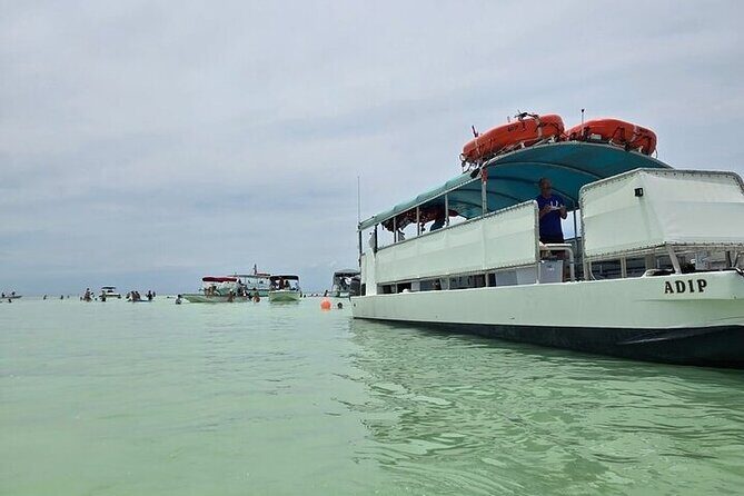 Sandbar Boat Tour in Marathon Florida - Key Points