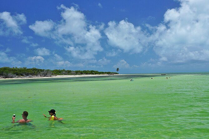 Sandbar Excursion in Key West - Authentic Reviews Speak Volumes