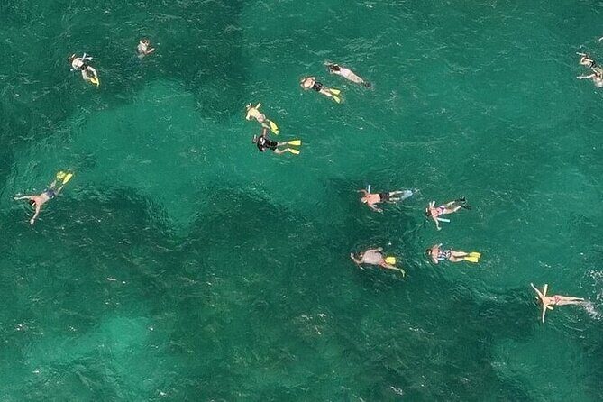 Sandbar Snorkel Combo Adventure - The Experience in Detail