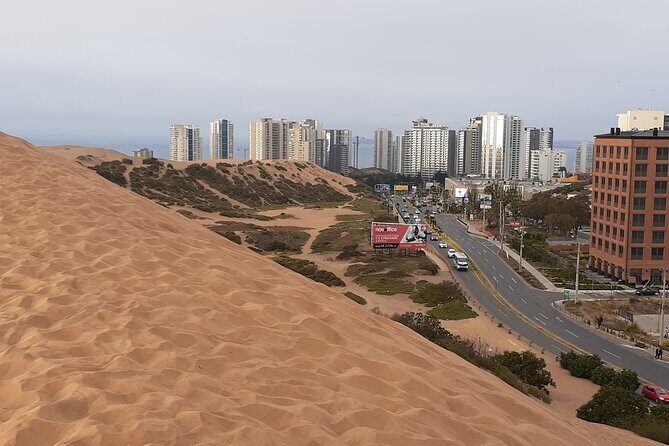 Sandboarding and sunset in Concón - The Sum Up: Who Should Book This Tour?