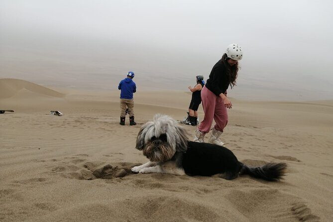 Sandboarding Experiance in Lima - Who Will Love This Tour?