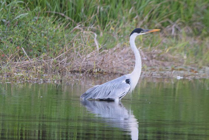 Sandoval lake and Tambopata national reserve - FAQ
