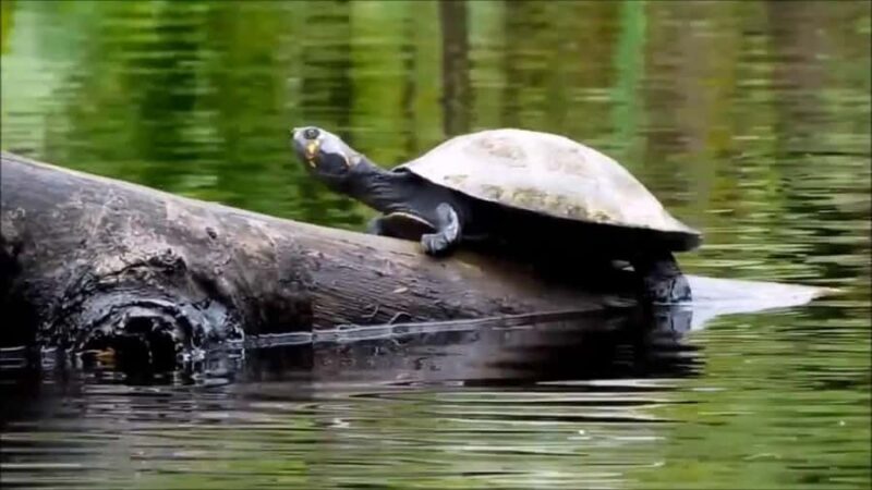 Sandoval Lake Full Day - An In-Depth Look at the Sandoval Lake Full Day Tour