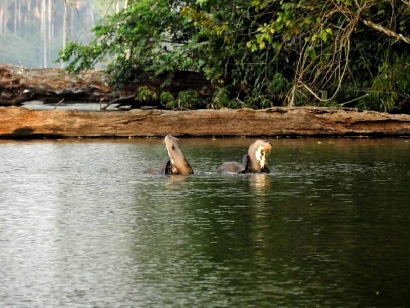 Sandoval Lake Full Day - FAQ