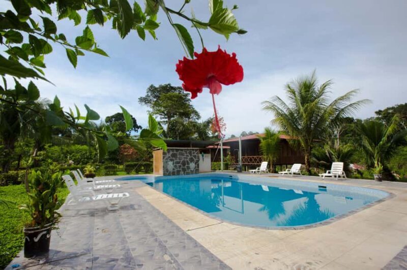 Sandoval Lake & Parrot Clay lick 3 Days/2 Nights - Key Points