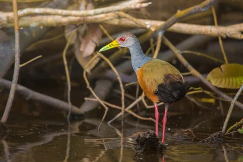 Sandoval Lake & Parrot Clay lick 3 Days/2 Nights - The Sum Up: Who Is This Tour Best For?