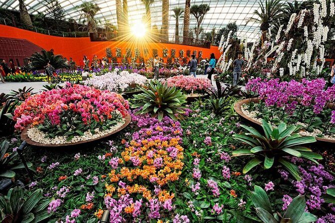 SandsSkyPark+GardensbytheBay(FlowerDome&Jurassic World)Transfers - In-Depth Breakdown: What You Can Expect