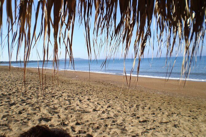 Sandy Shores Shuttle: Your Gateway to Kourouta Beach - Key Points