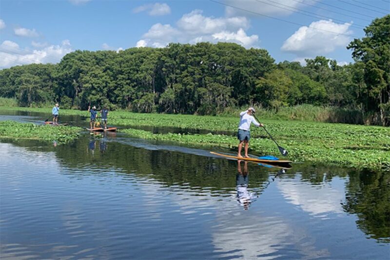 Sanford: Guided SUP or Kayak Manatee-Watching Tour - The Value and Why It Matters
