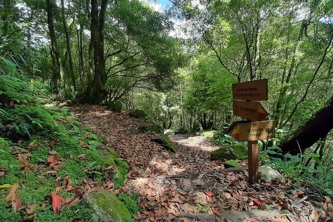 Sanguinho hike, Salto do Prego Waterfall and Furnas hotsprings - The Authentic Touch: Why This Tour Works