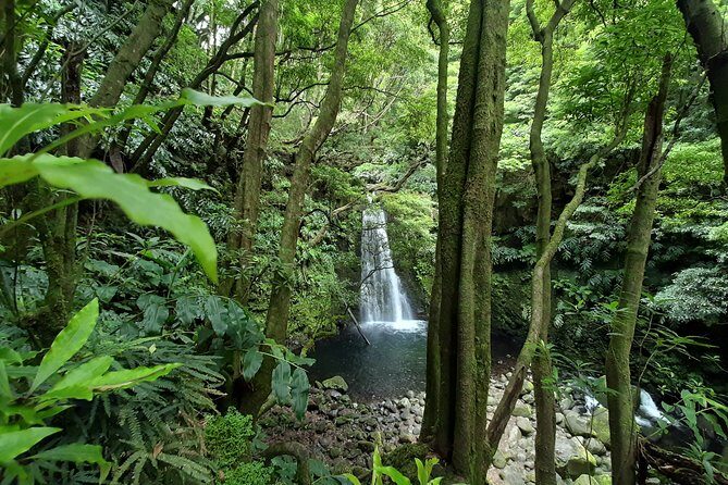 Sanguinho hike, Salto do Prego Waterfall and Furnas hotsprings - Who Should Book This Tour?