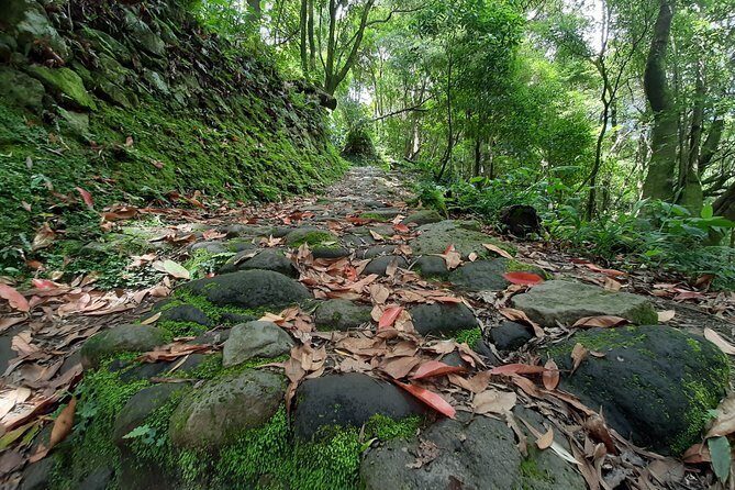 Sanguinho hike, Salto do Prego Waterfall and Furnas hotsprings - The Sum Up: Is It Worth It?
