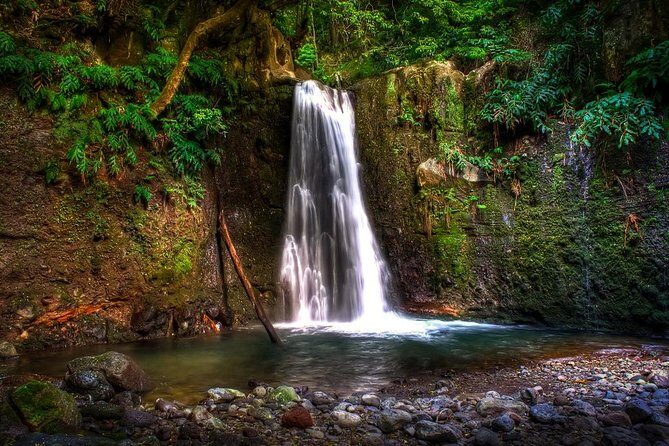 Sanguinho Trail Full-Day Walking Tour with Lunch - Experience the Sanguinho Trail on a Full-Day Walk with Lunch