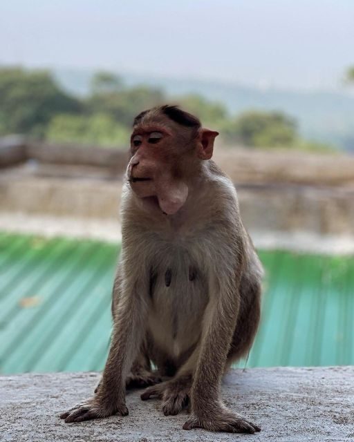 Sanjay Gandhi National Park + Kenheri Caves + Lion Safari - The Jain Temple: A Moment of Quiet Reflection