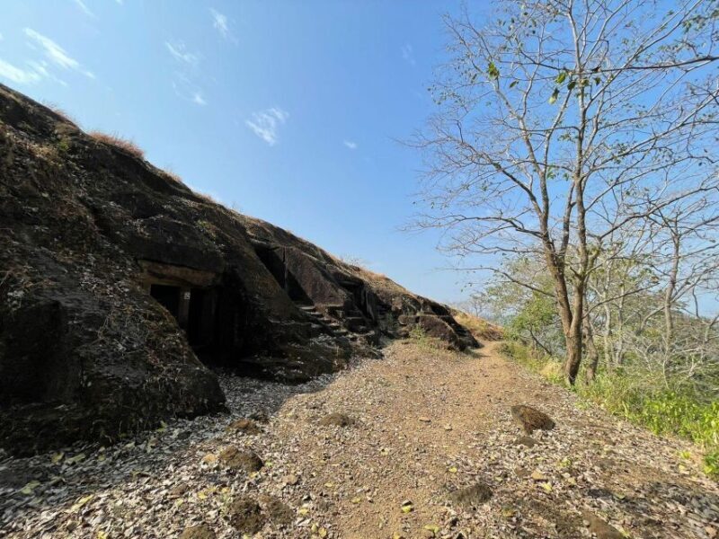 Sanjay Gandhi National Park + Kenheri Caves + Lion Safari - Who Will Love This Tour?