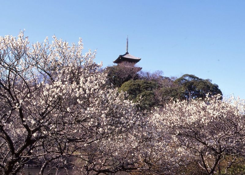 Sankeien Garden Admission - Start at the pond, then follow the garden’s quieter paths