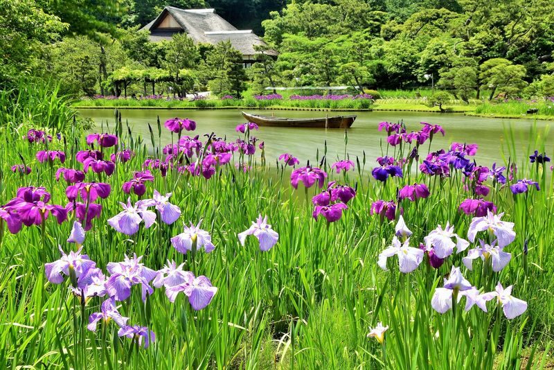 Sankeien Garden Admission - Add the museum or a tea stop if it is open