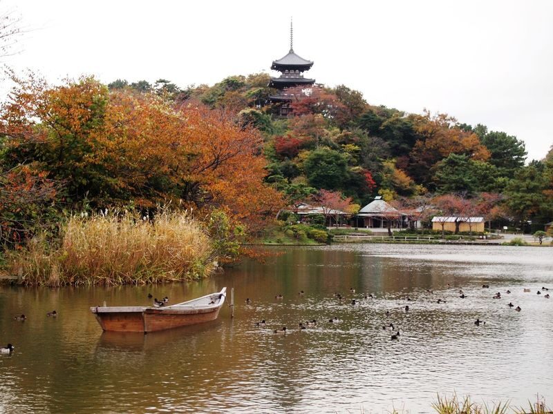 Sankeien Garden Admission - Getting there takes a little planning