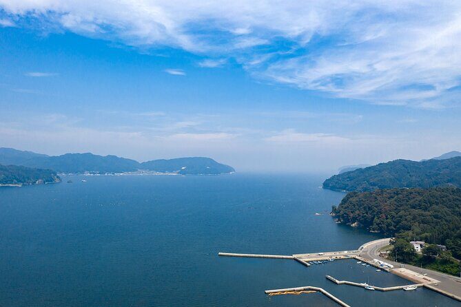 Sanriku Geopark Fishing Industry Field Trip - Authentic Seafood & Cultural Insights