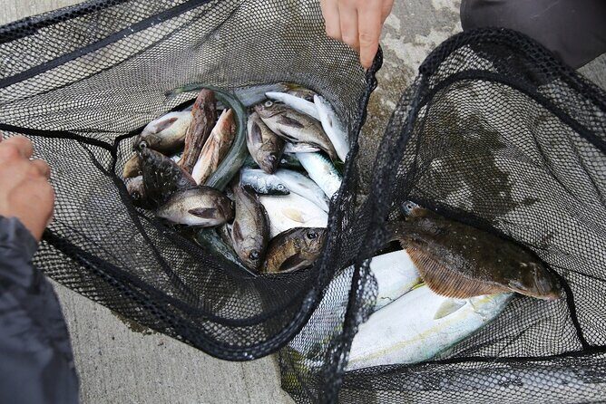 Sanriku Geopark Fishing Industry Field Trip - Wrapping It Up