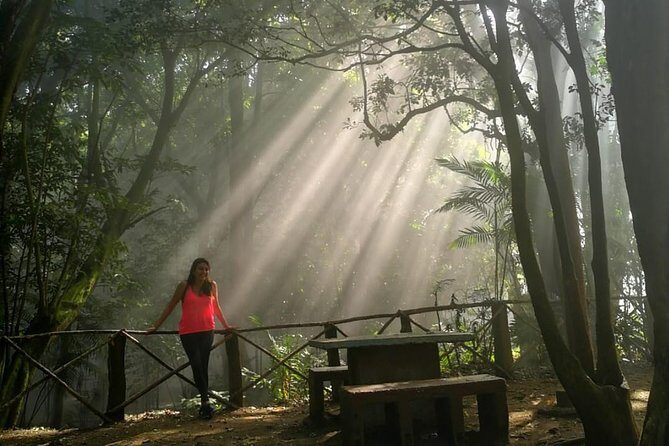 Santa Ana Volcano and Lake - An Unforgettable Journey - A Deep Dive into the Santa Ana Volcano Tour Experience