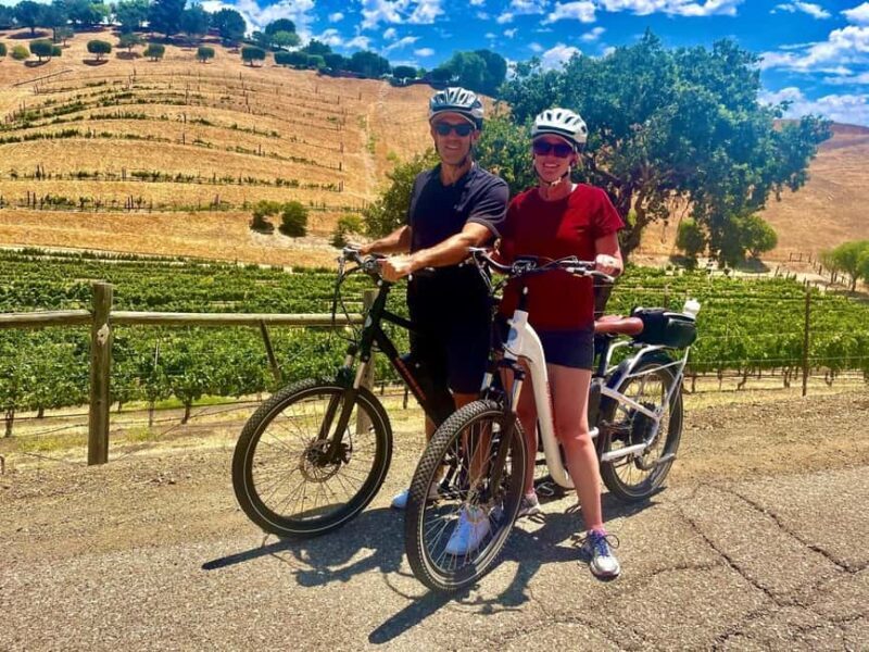Santa Barbara: E-bike wine tour w/ transport, tasting, lunch - Key Points